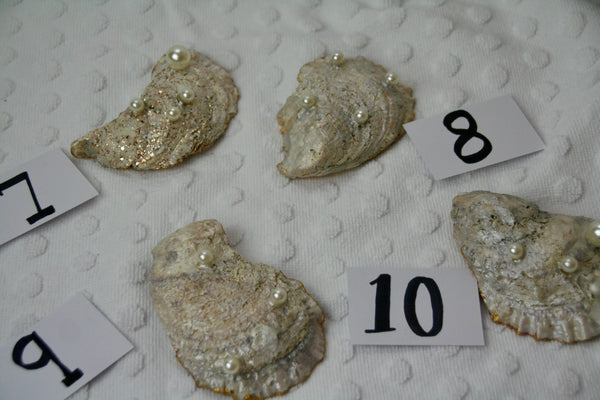 Oyster Trinket Dish (Exotic)