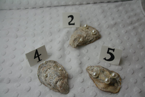 Oyster Trinket Dish (Exotic Flowers)