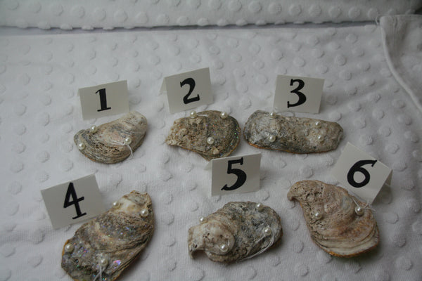 Oyster Trinket Dish (Floral)