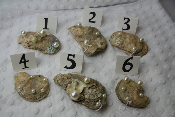 Oyster Trinket Dish (G)